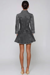 Funs Ruffle Denim Mini Dress In Grey